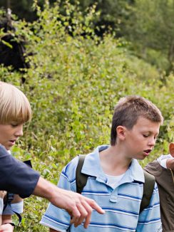 Classes découvertes