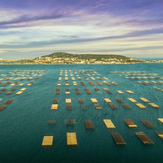 Village Club Thalassa