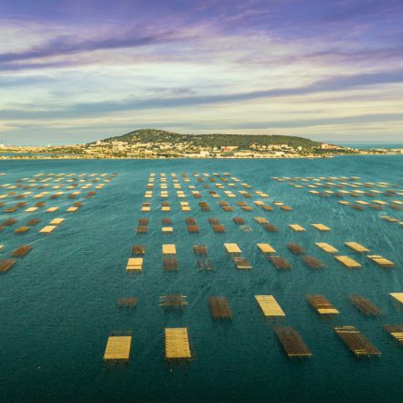 Village Club Thalassa Village Club Thalassa