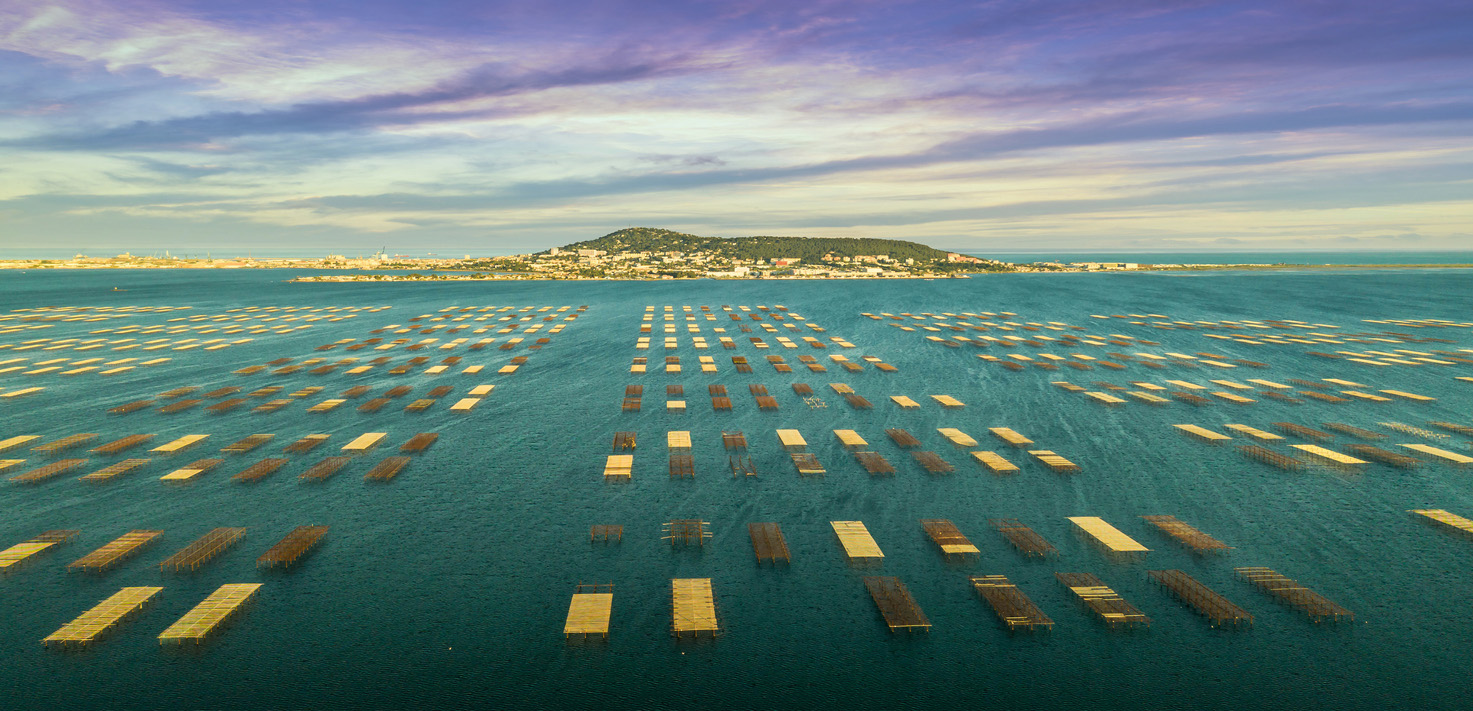 Village Club Thalassa Village Club Thalassa