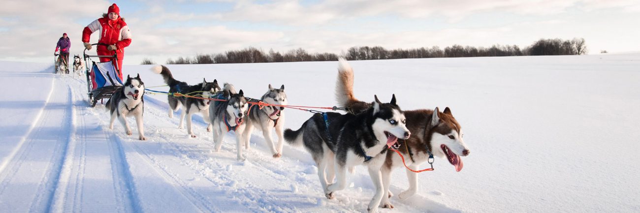 Séjour à la montagne : 8 activités à faire en groupe qui changent du ski