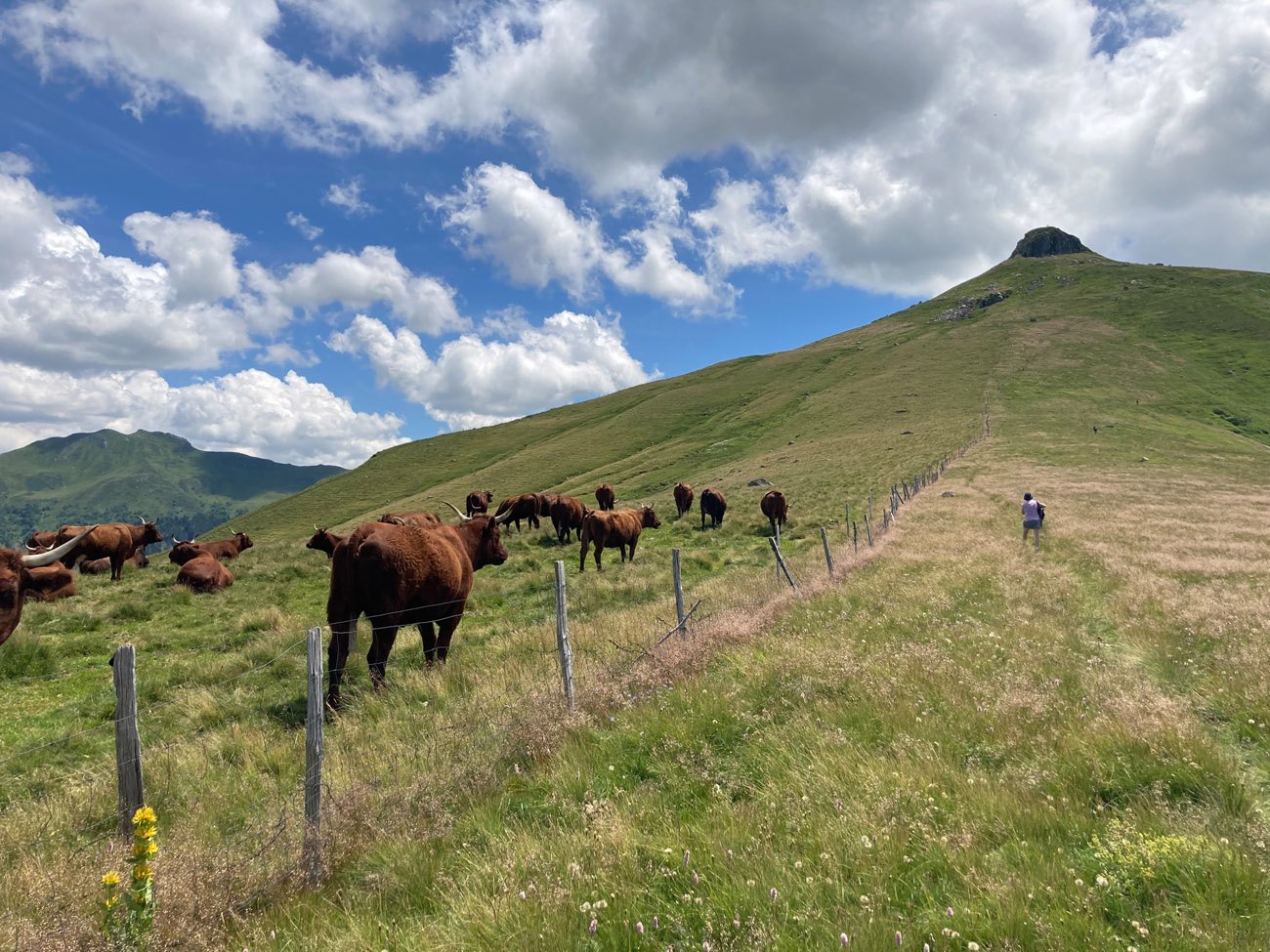 Domaine du Lac de Soursac Domaine du Lac de Soursac