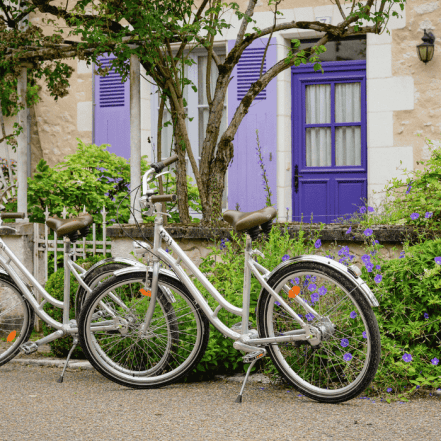 La Saulaie La Saulaie