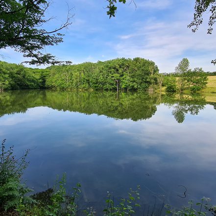 Le Hameau des Étoiles Le Hameau des Étoiles
