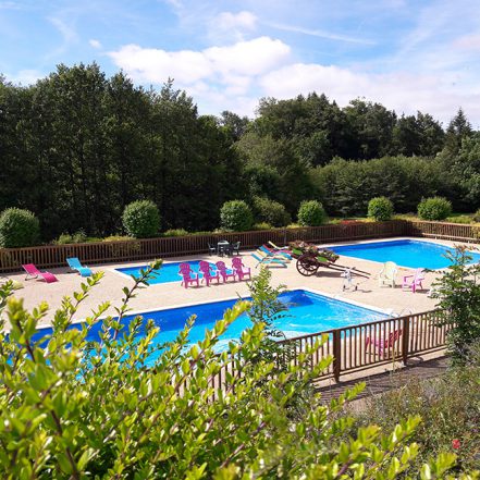 Fleurs d’Aubrac Fleurs d’Aubrac