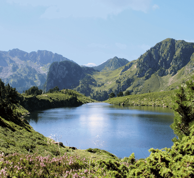 Le Tarbesou Le Tarbesou