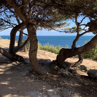 La Bastide des Joncas