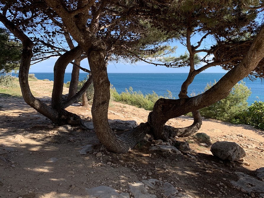 La Bastide des Joncas La Bastide des Joncas