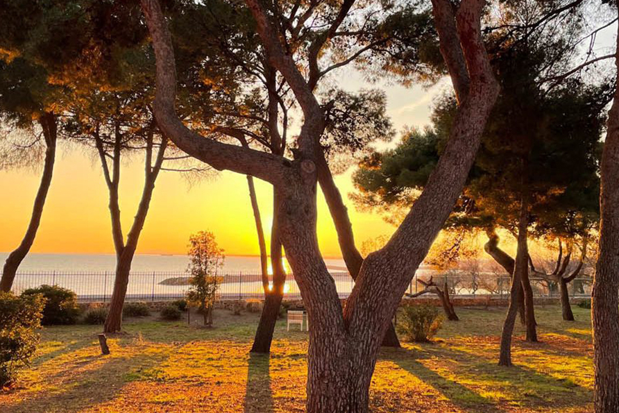 Domaine du Lazaret Domaine du Lazaret